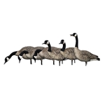 AVIAN X FUSION HONKER GOOSE