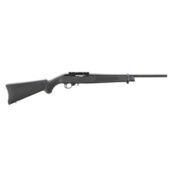 RUGER 10/22 CARBINE NS