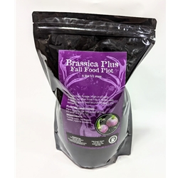 THE SUGAR ADDICT BRASSICA PLUS 4LBS