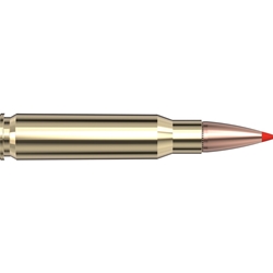 HORNADY 80772
