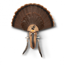 HS STRUT THREE BEARD MOUNTING