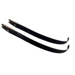 RAGIM XT-100 LIMBS 20#