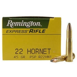 REMINGTON 28376 R22HN1