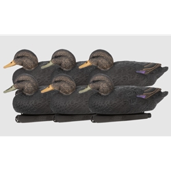 ZINK BLACK DUCK FLOATER DECOY 6PK