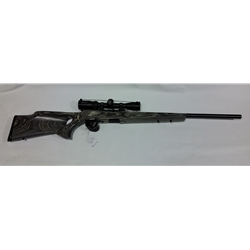SAVAGE A22 22LR