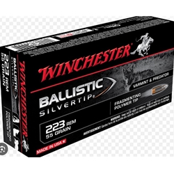 WINCHESTER 223 REM, 55GR, BALLISTIC SILVERTIP (SBST223B)