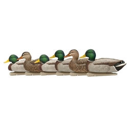 AVIAN X TOPFLIGHT OPEN WATER MALLARD DUCKS 6PK AVX-AVX8060